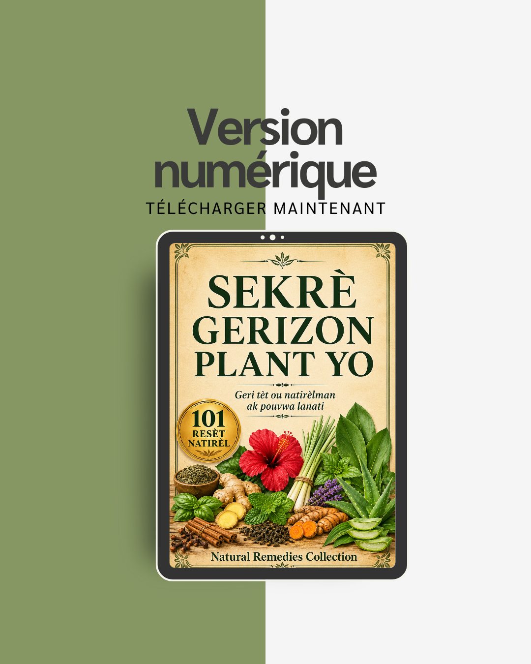 Sekrè Gerizon Plant Yo — Version numérique (PDF, 101 remèdes)